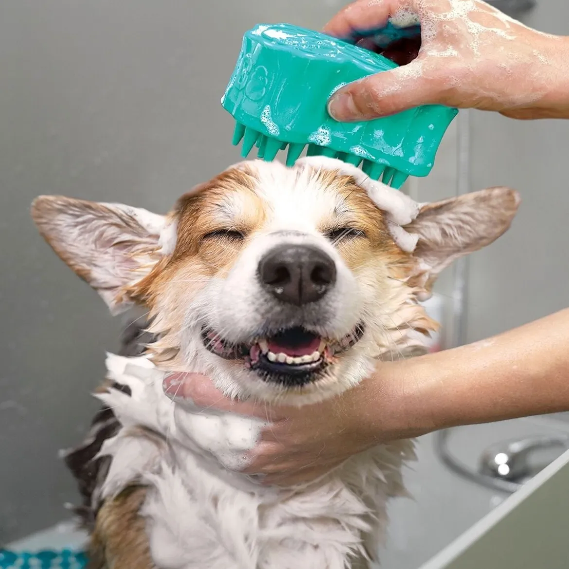 KONG ZoomGroom Bubbles Hundborste För Schamponering L