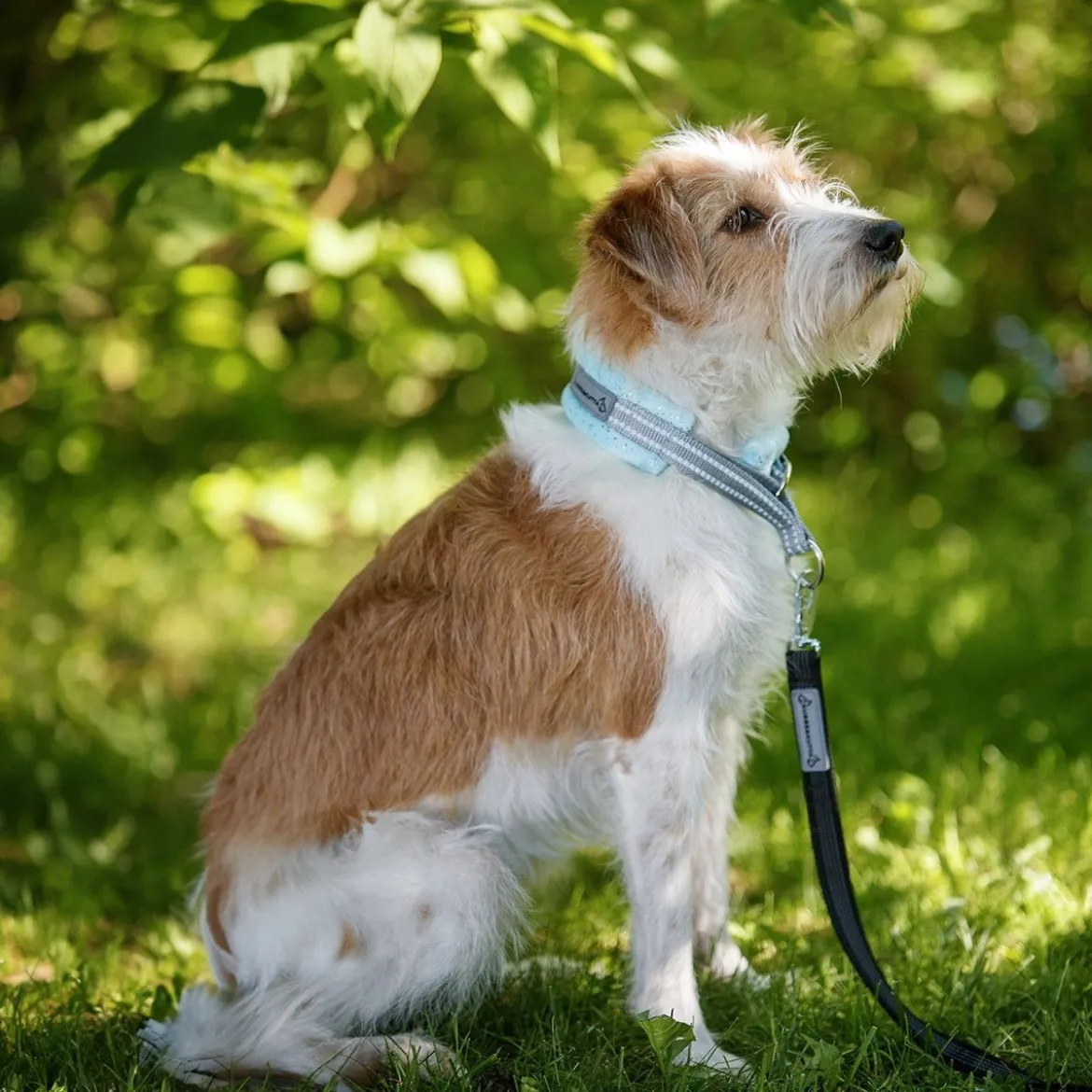 Kusse & Kutta Grip Hundkoppel med BGB-hake 300 cm