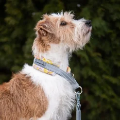 Kusse & Kutta Hundhalsband Bred Modell Rosa/Gul