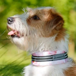 Kusse & Kutta Hundhalsband Brett Mjuk Ljusrosa