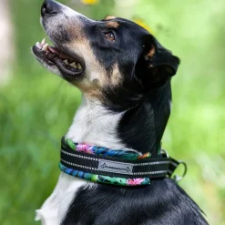 Kusse&Kutta Hundhalsband Bred Modell Tropic