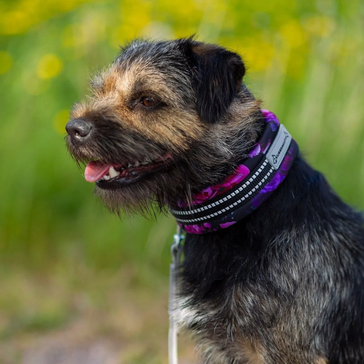 Kusse&Kutta Hundhalsband Cosmos