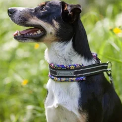 Kusse&Kutta Hundhalsband Lycra Bred Modell Blommor