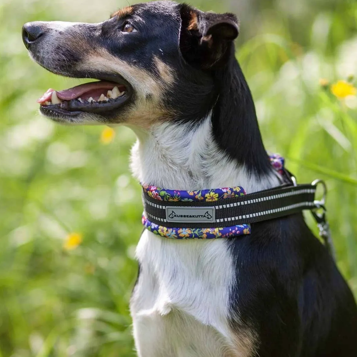 Kusse&Kutta Hundhalsband Lycra Bred Modell Blommor