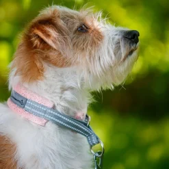 Kusse & Kutta Hundhalsband Mjuk Glitter Persika
