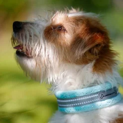 Kusse & Kutta Hundhalsband Mjuk Glitter Ljusblå