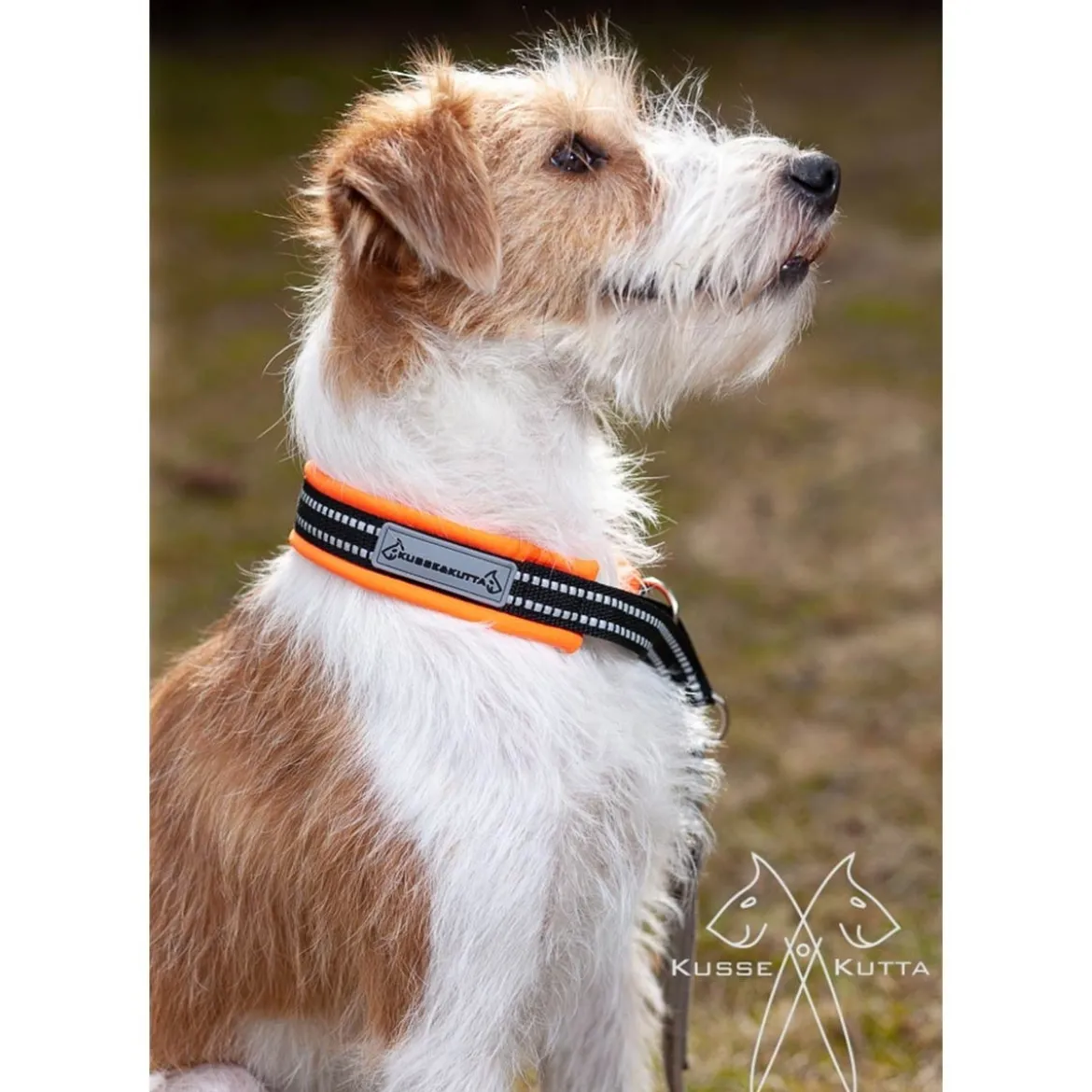Kusse&Kutta Hundhalsband Orange