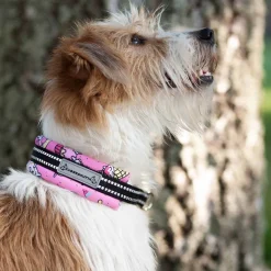 Kusse&Kutta Hundhalsband Rosa Donuts