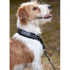 Kusse&Kutta Hundhalsband Softshell Svart