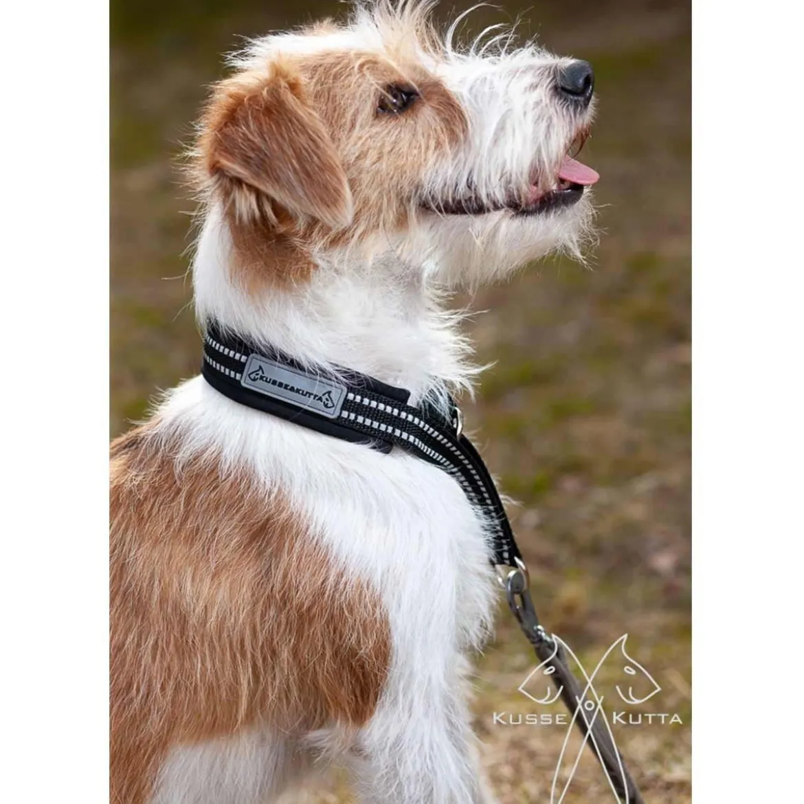 Kusse&Kutta Hundhalsband Softshell Svart