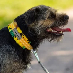 Kusse&Kutta Hundhalsband Solrosor