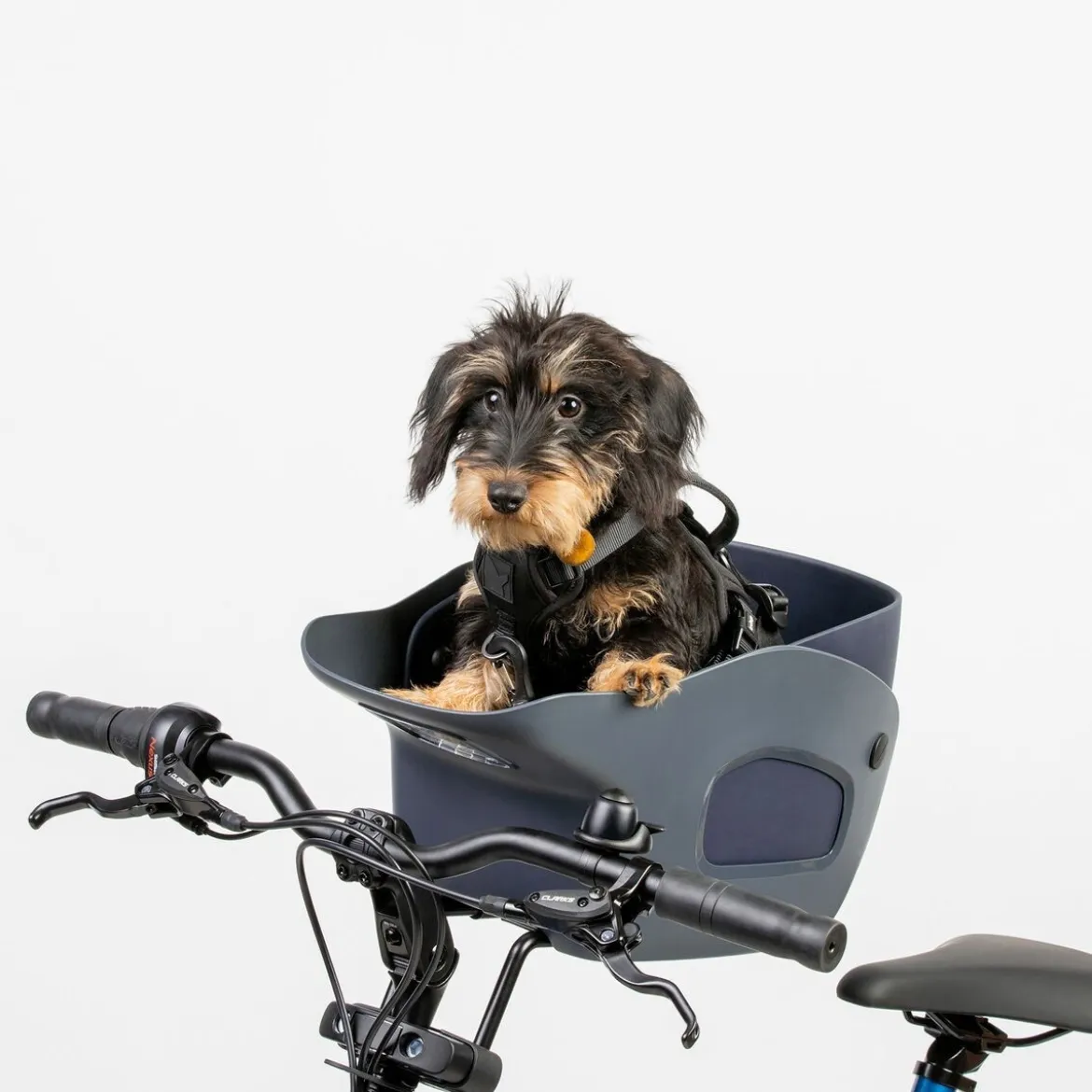 Kvisp Cykelkorg till Hund med Sele Grå