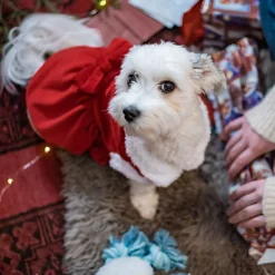 Little&Bigger Xmas Girly Girl Tomtedräkt till Hund