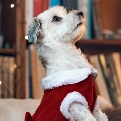 Little&Bigger Xmas Girly Girl Tomtedräkt till Hund
