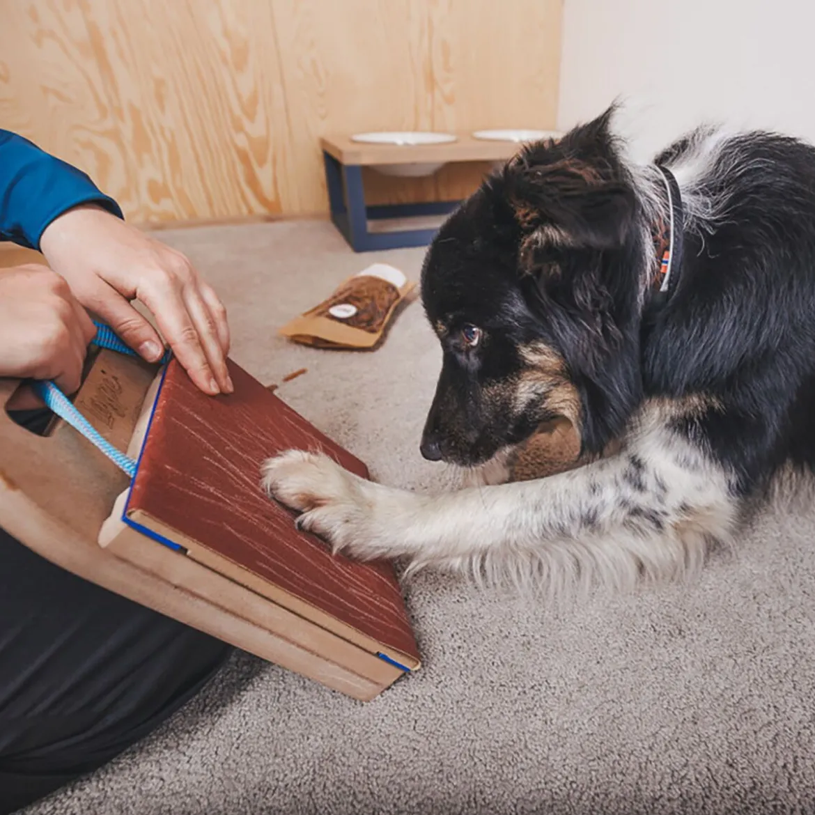 Loype Mani-Pedi Klösbräda till Hund