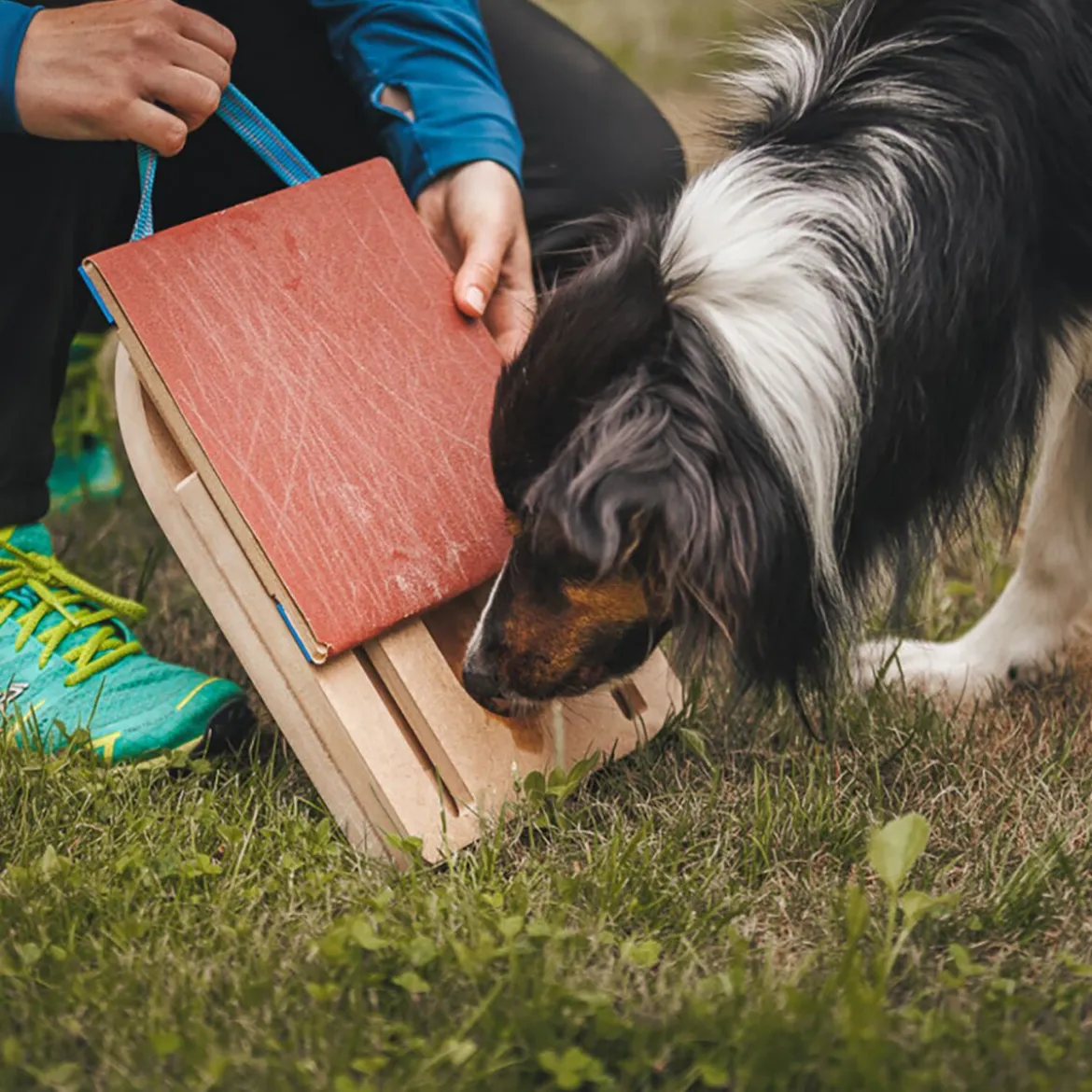 Loype Mani-Pedi Klösbräda till Hund