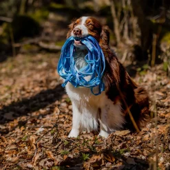 Loype Saxana Spårlina till Hund Blå