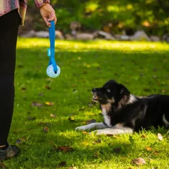 Loype Springster Dragleksak med Boll