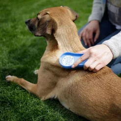 Magic Brush Hundborste