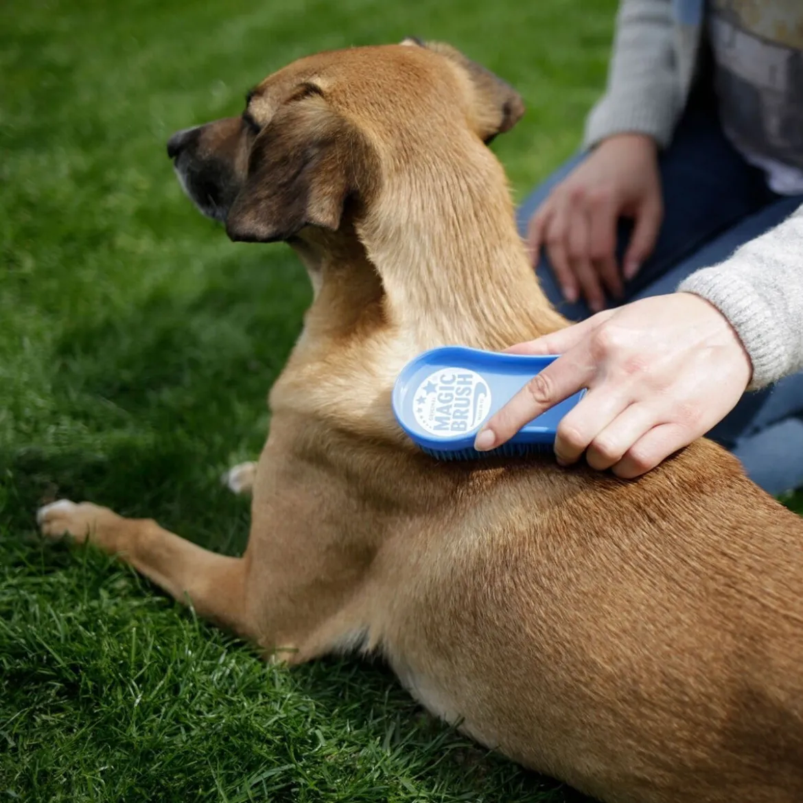 Magic Brush Hundborste