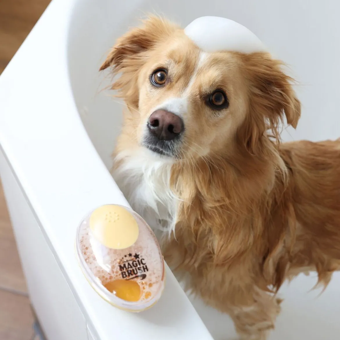 Magic Brush Hundborste För Schamponering