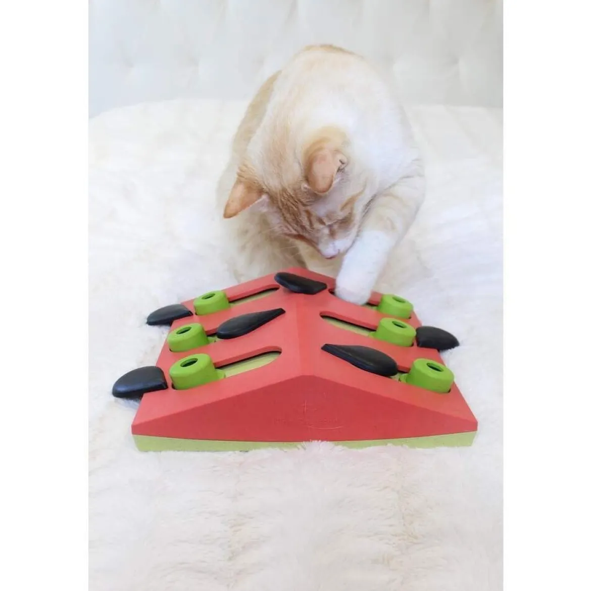 Nina Ottosson Cat Melon Madness Puzzle and Play Röd