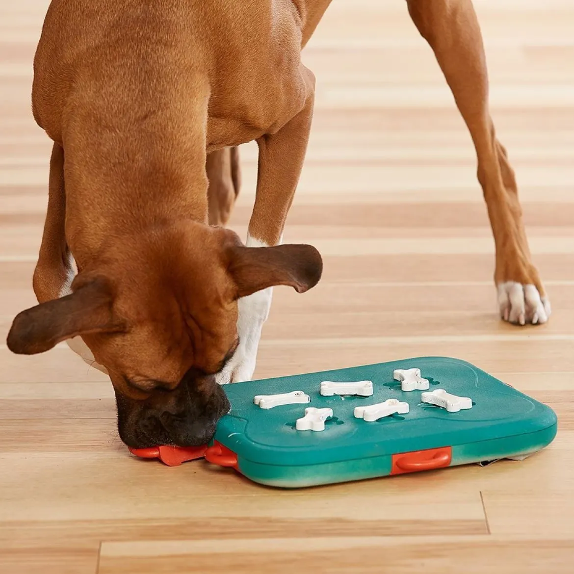 Nina Ottosson Dog Casino Hundspel Blå