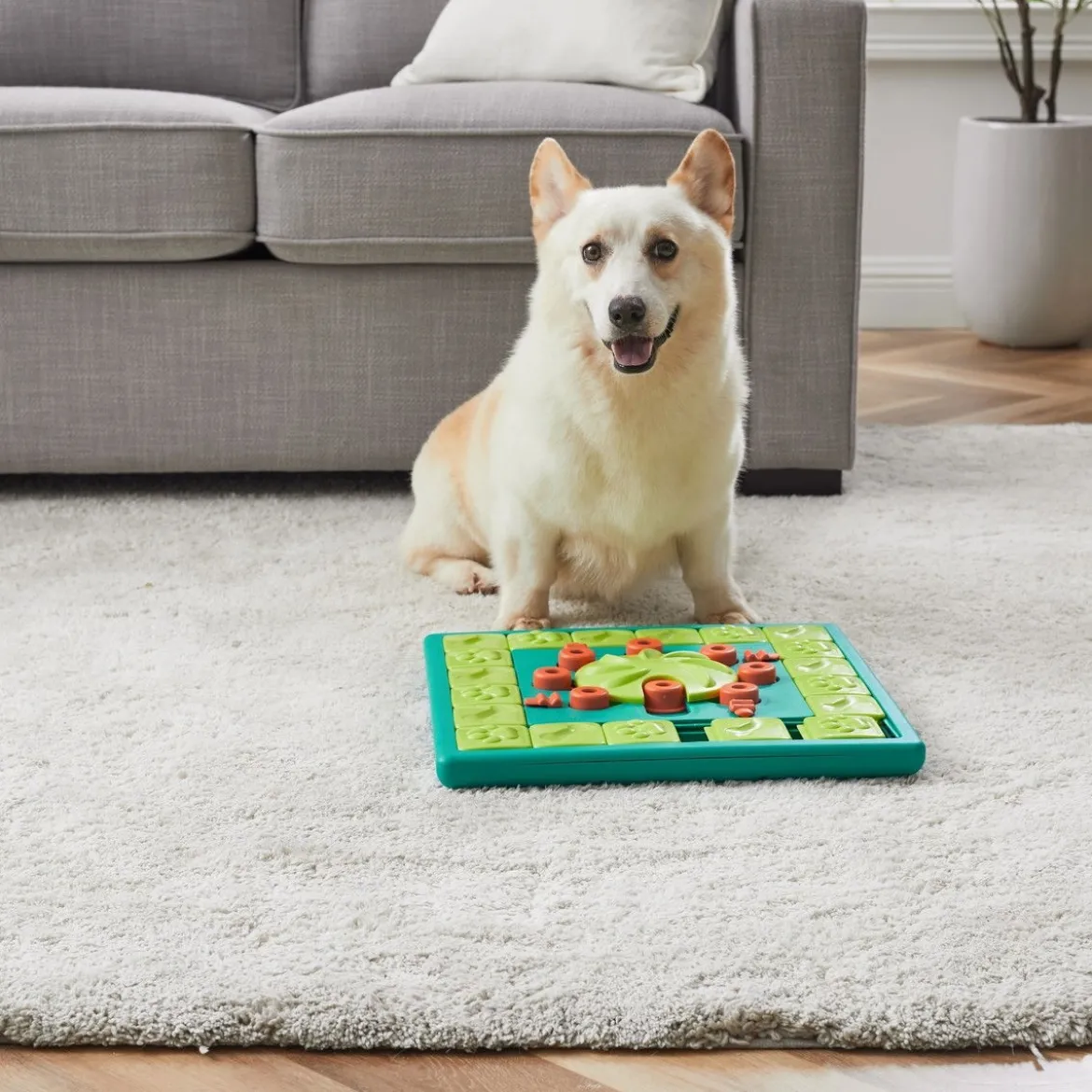 Nina Ottosson Dog Multi Puzzle Grön