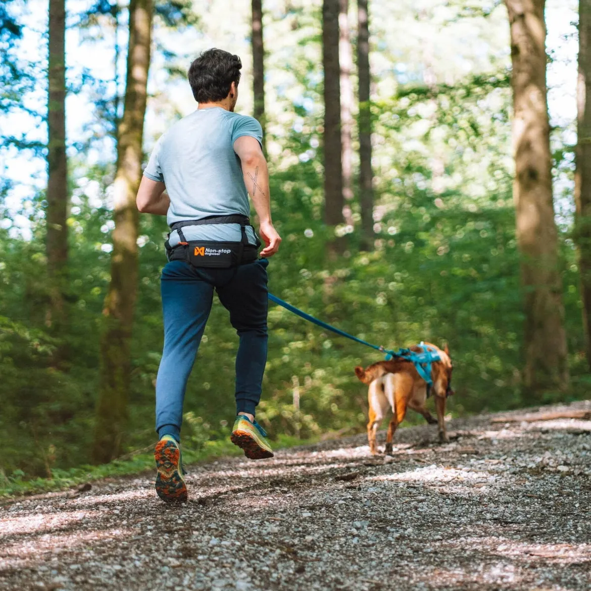 Non-stop Dogwear Canix 2.0 Hundförarbälte Svart