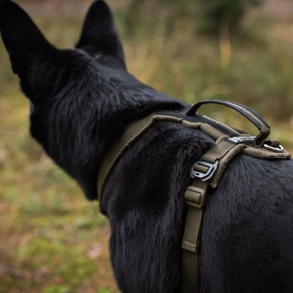 Non-Stop Dogwear Defense Line Grip Hundsele Grön