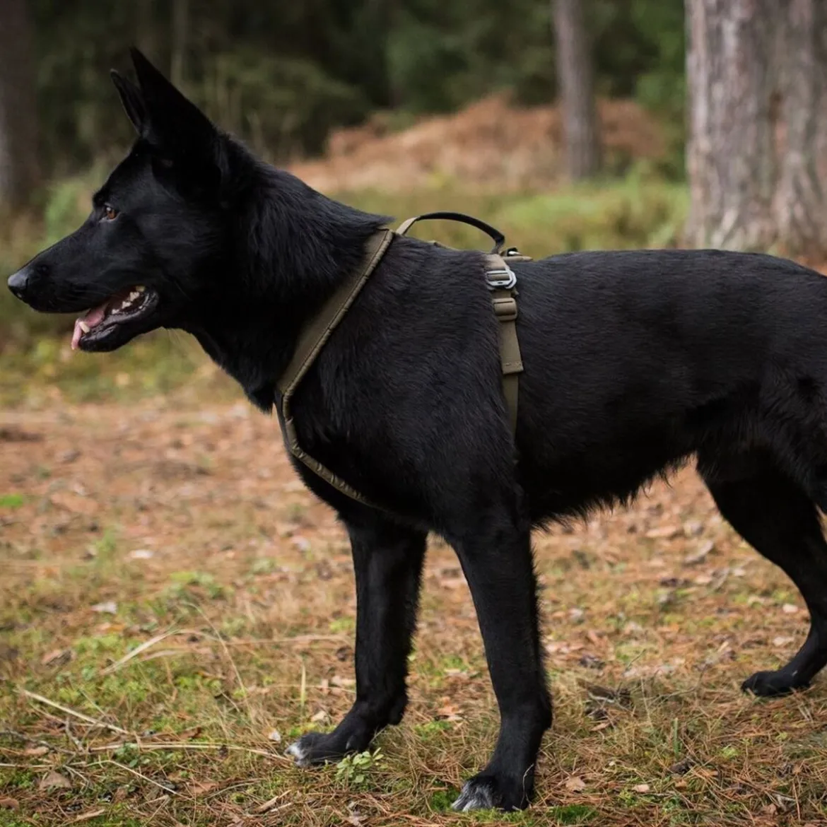 Non-Stop Dogwear Defense Line Grip Hundsele Grön