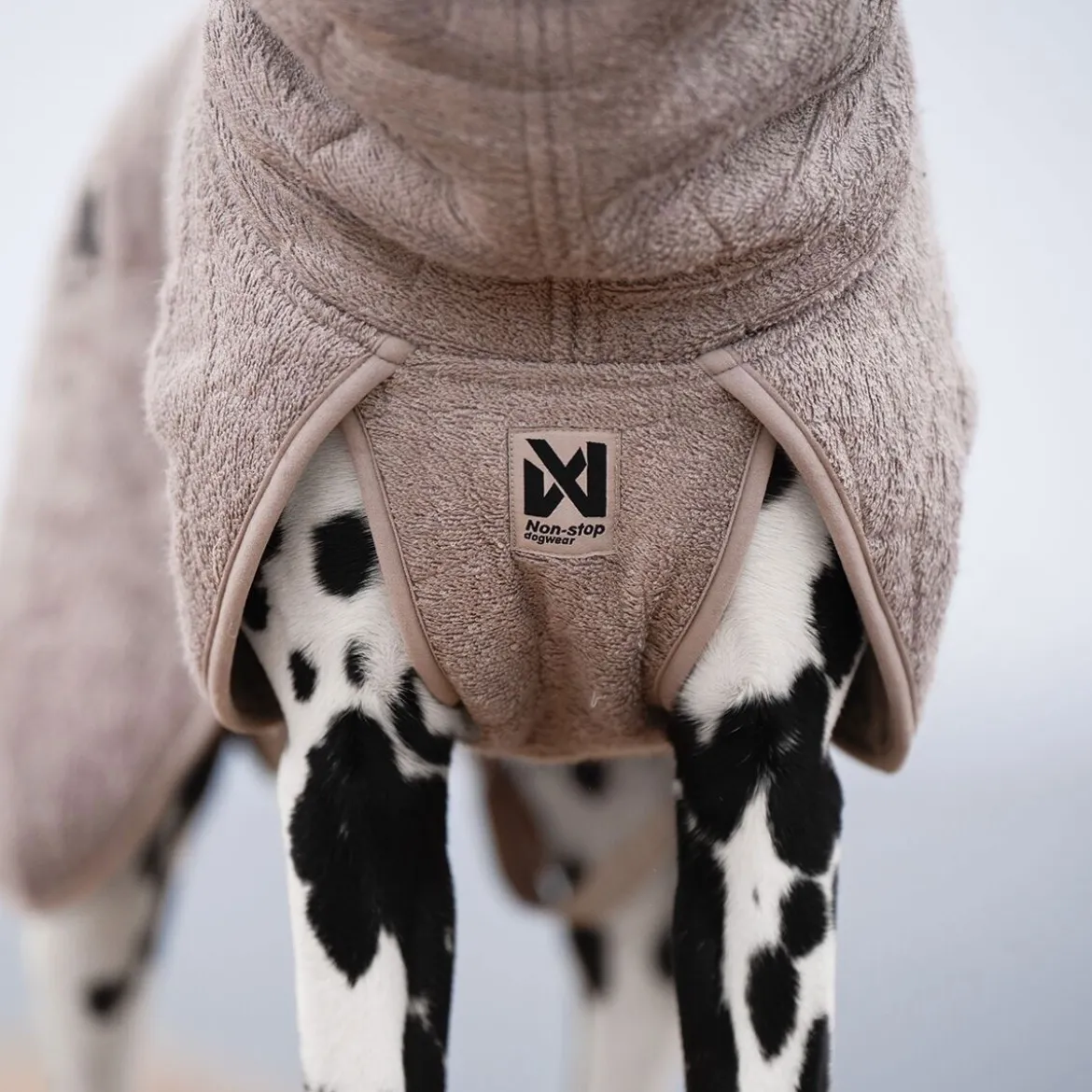 Non-stop Dogwear Drying Badrock till Hund Beige