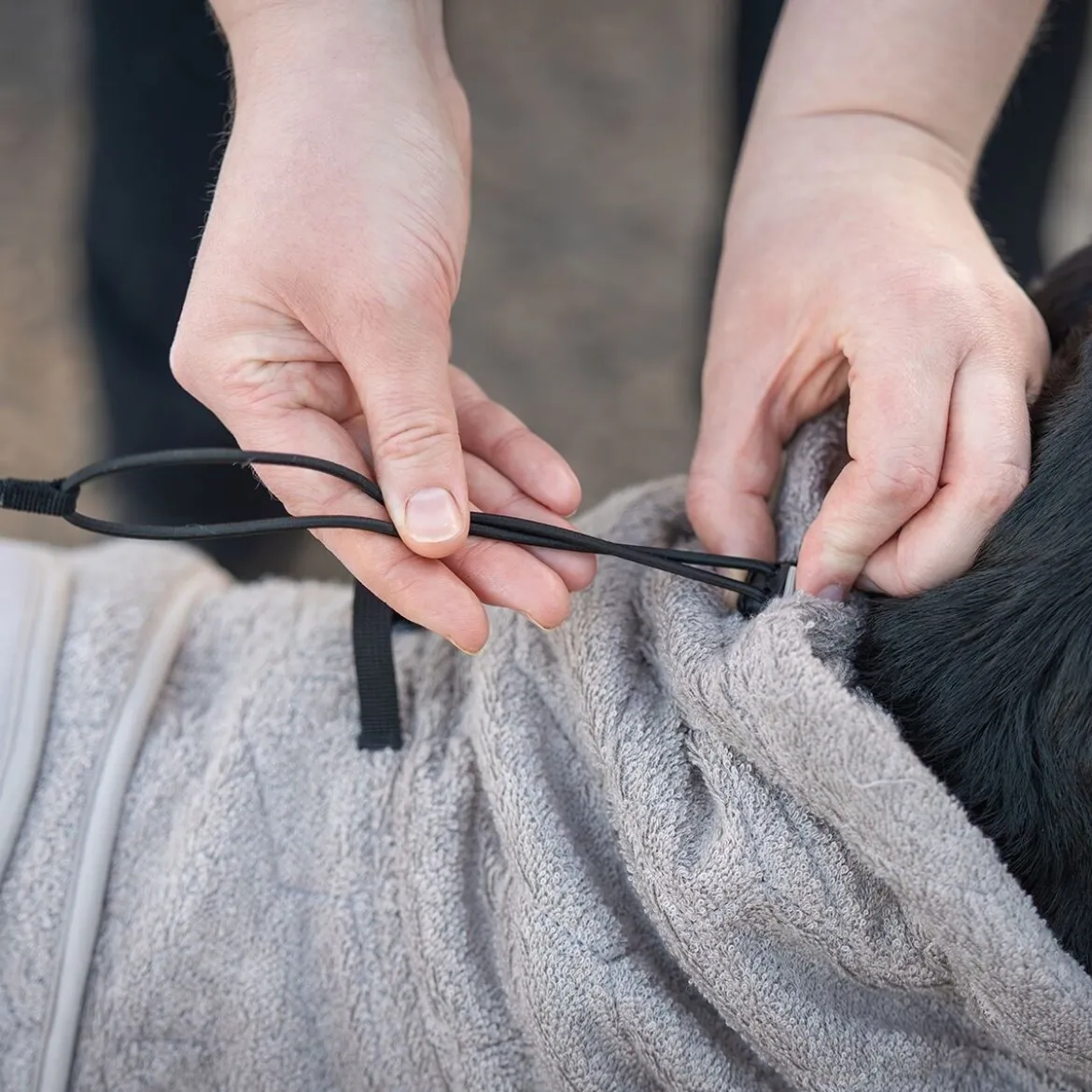 Non-stop Dogwear Drying Badrock till Hund Beige