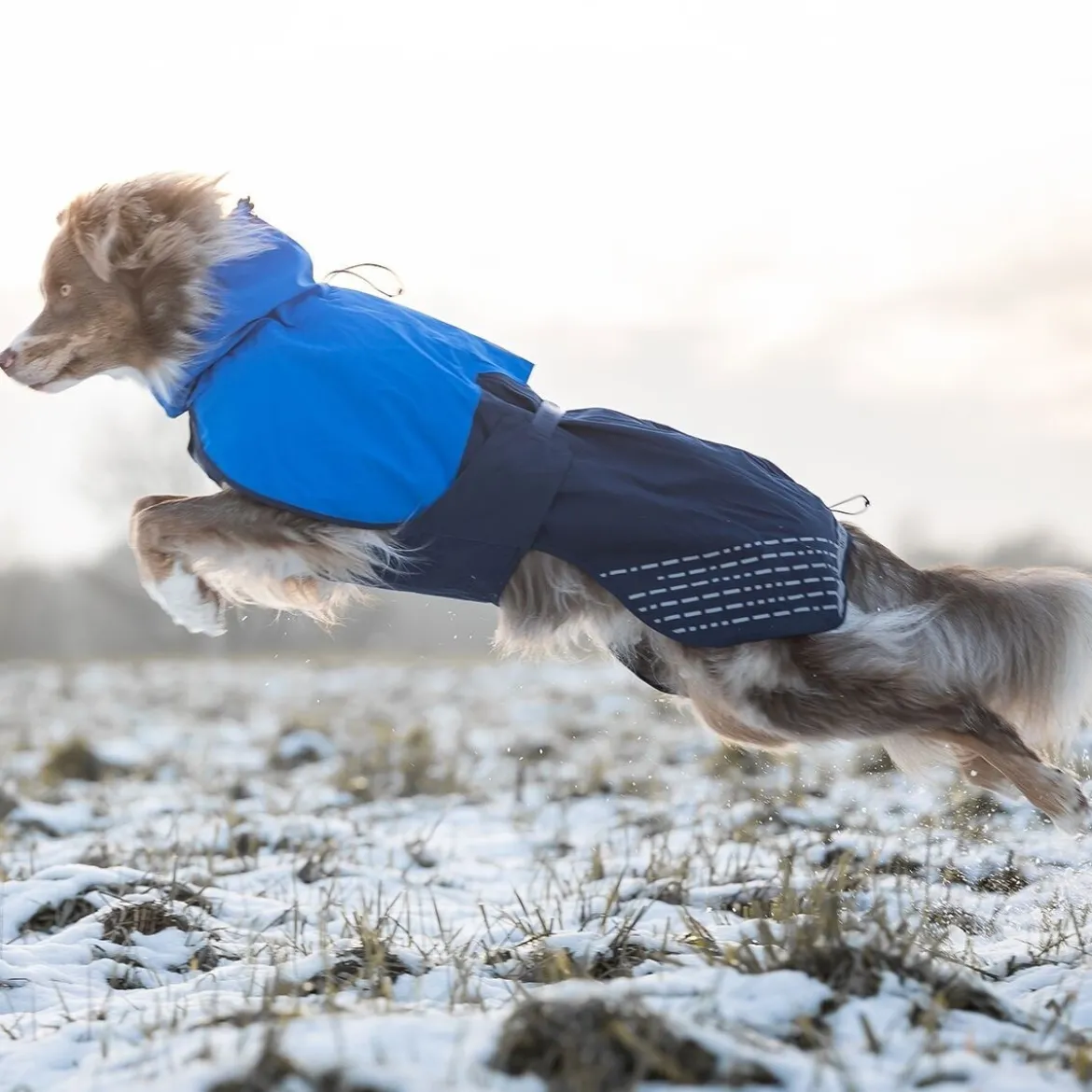 Non-Stop Dogwear Fjord Regnjacka till Hund Blå