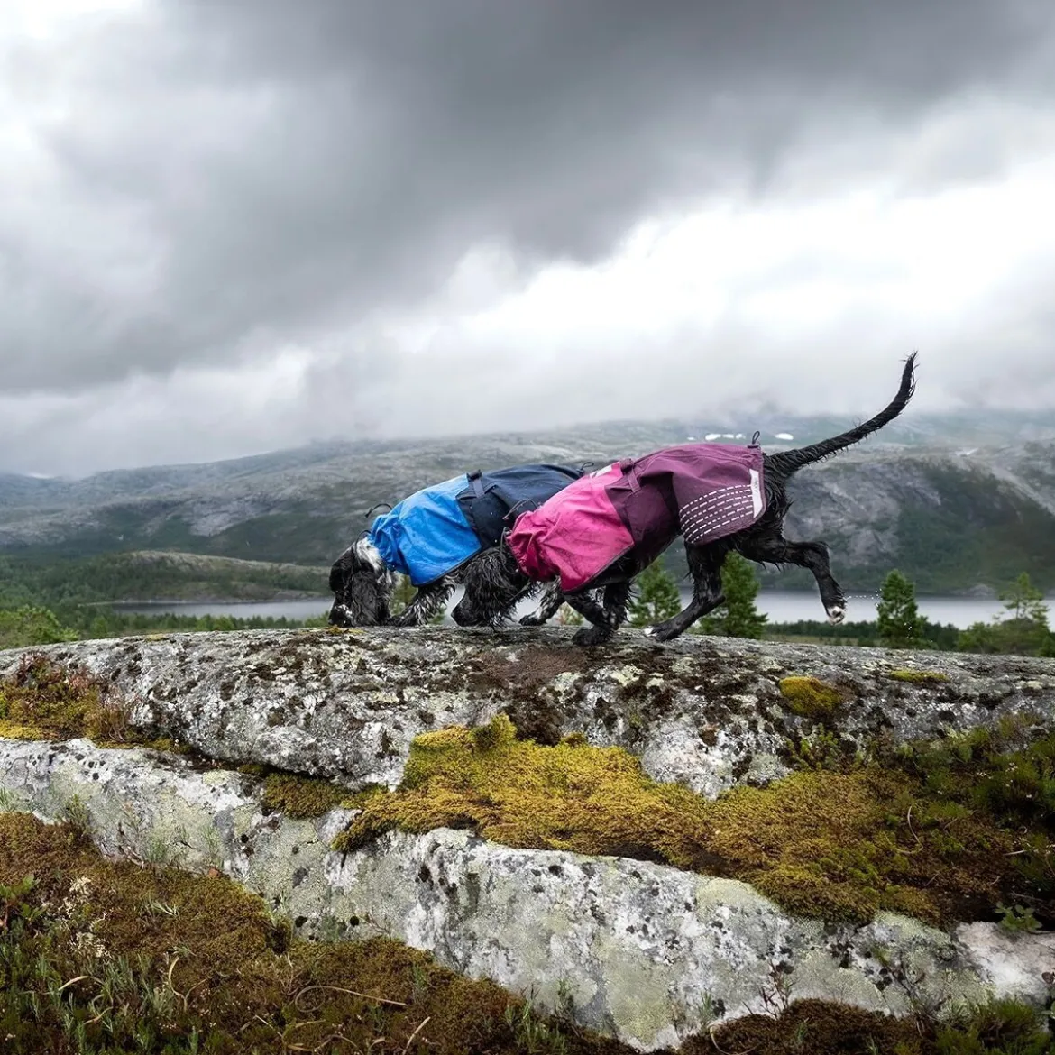 Non-Stop Dogwear Fjord Regnjacka till Hund Blå