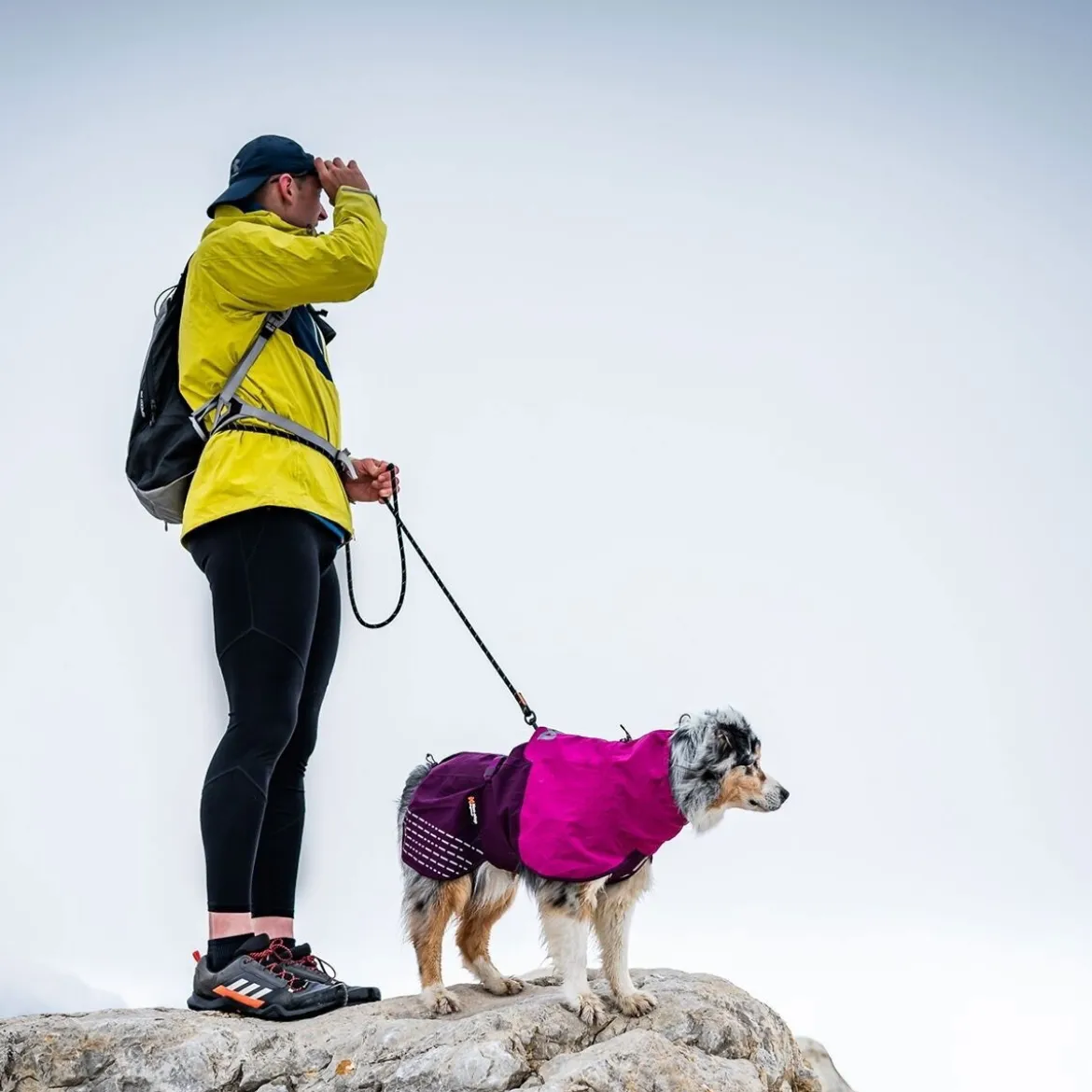 Non-Stop Dogwear Fjord Regnjacka till Hund Lila