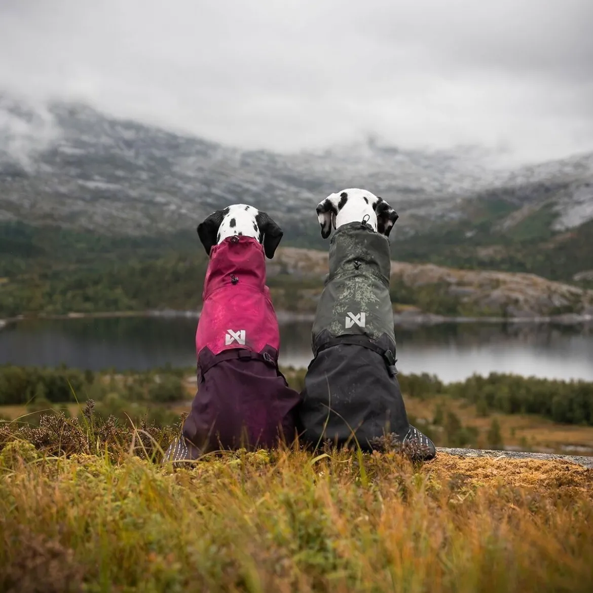 Non-Stop Dogwear Fjord Regnjacka till Hund Lila