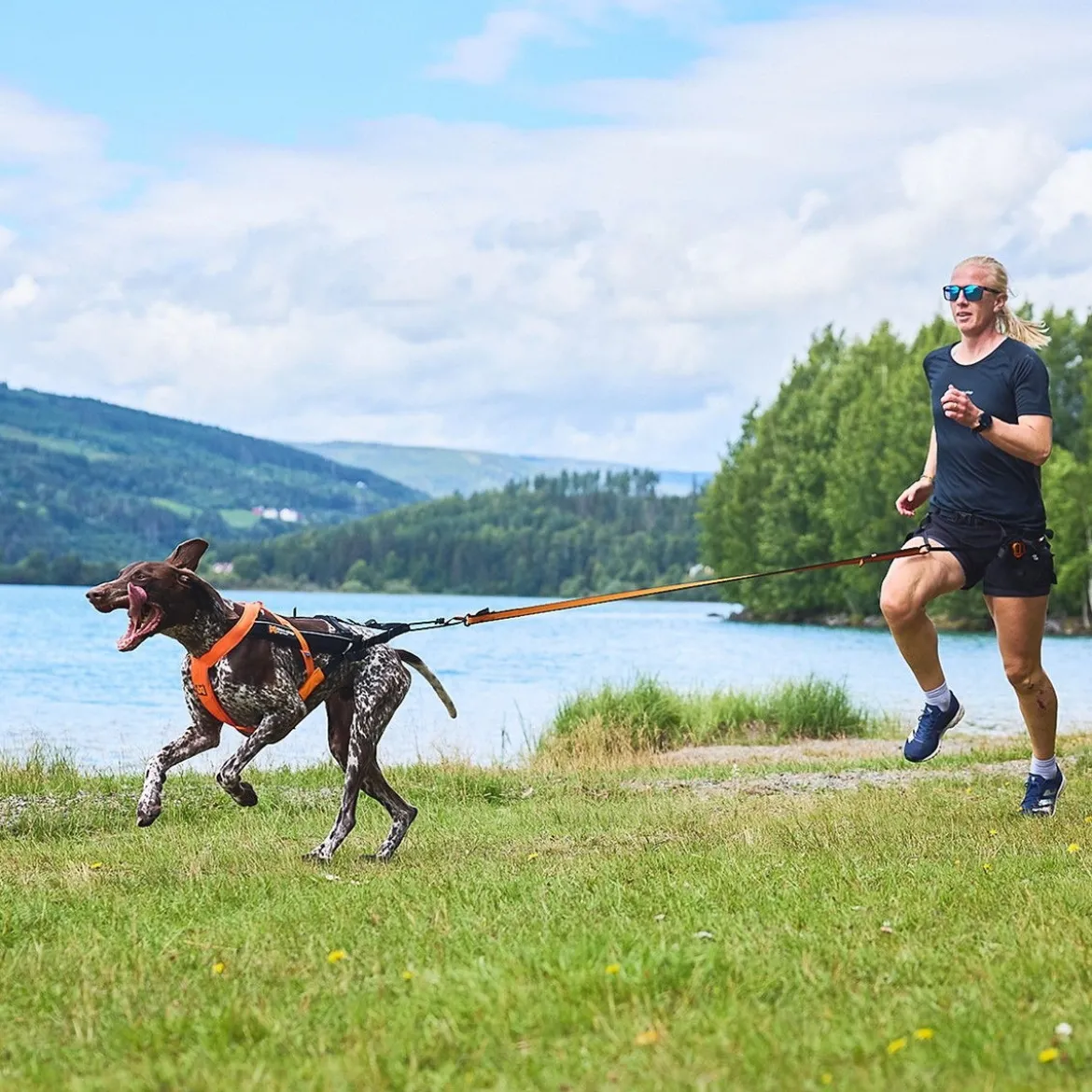 Non-Stop Dogwear Freemotion 5.0 Dragsele Orange & Svart