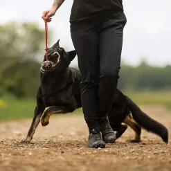 Non-Stop Dogwear Hundboll med Rep Orange/Svart