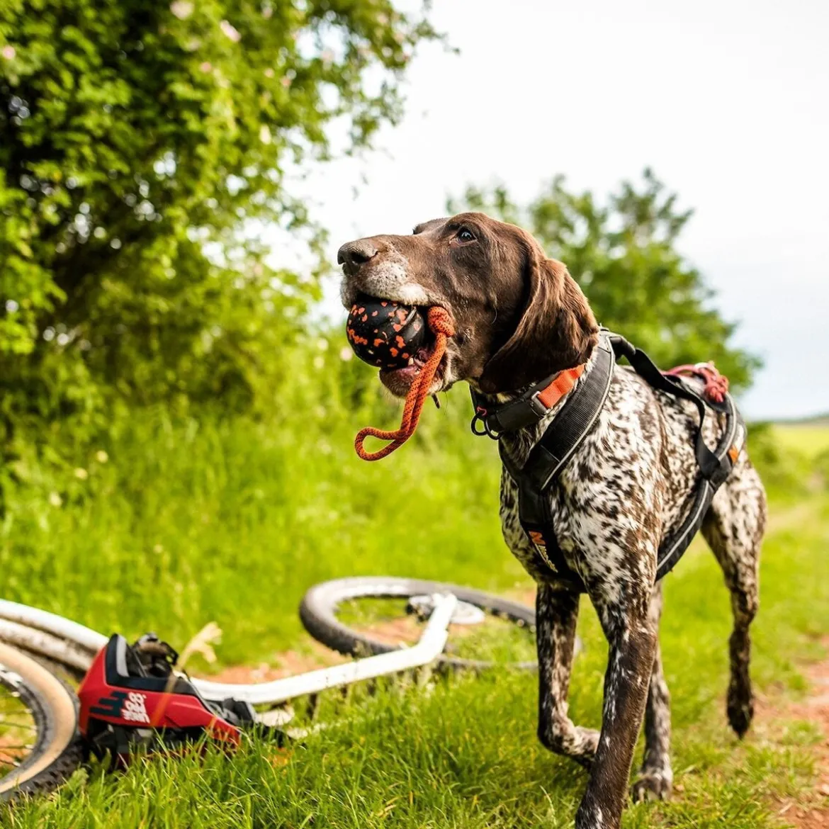 Non-Stop Dogwear Hundboll med Rep Orange/Svart
