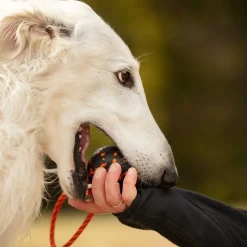 Non-Stop Dogwear Hundboll med Rep Orange/Svart