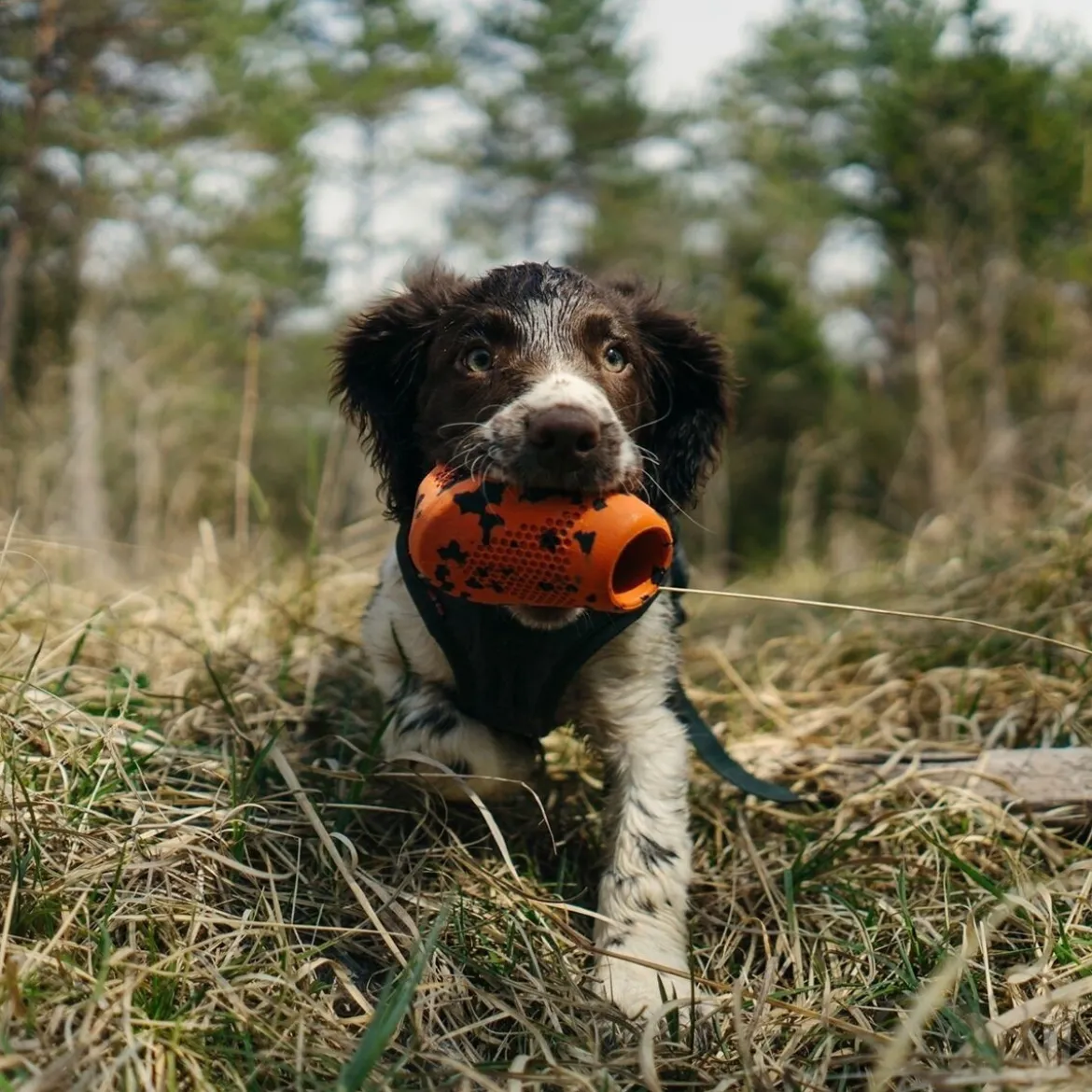 Non-Stop Dogwear Kastleksak till Hund Orange/Svart