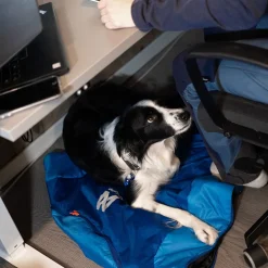 Non-stop Dogwear Ly Sovsäck för hund