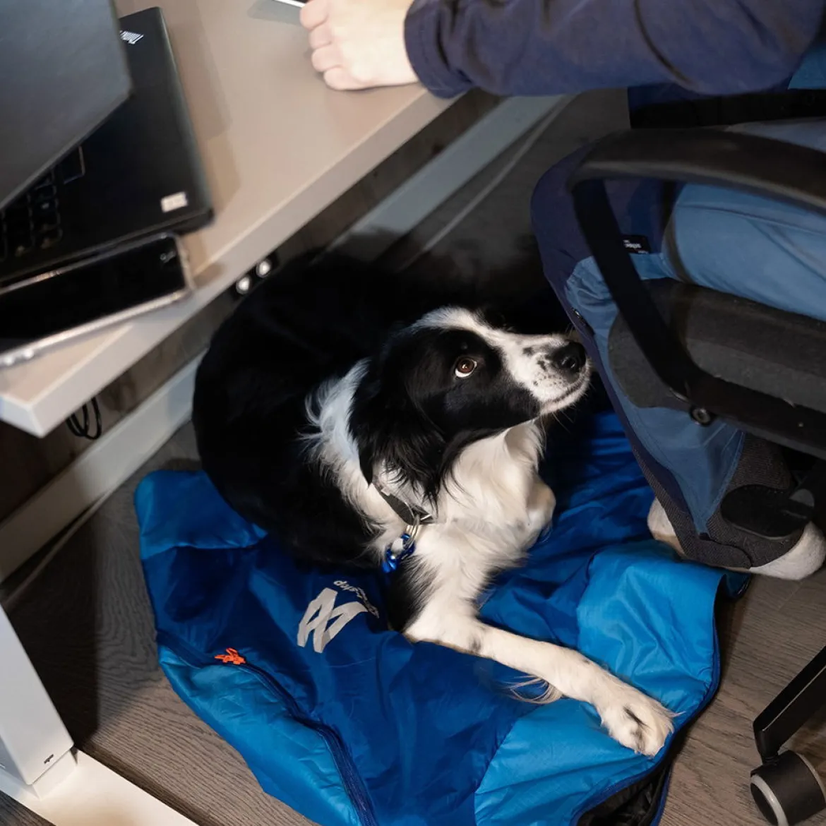Non-stop Dogwear Ly Sovsäck för hund
