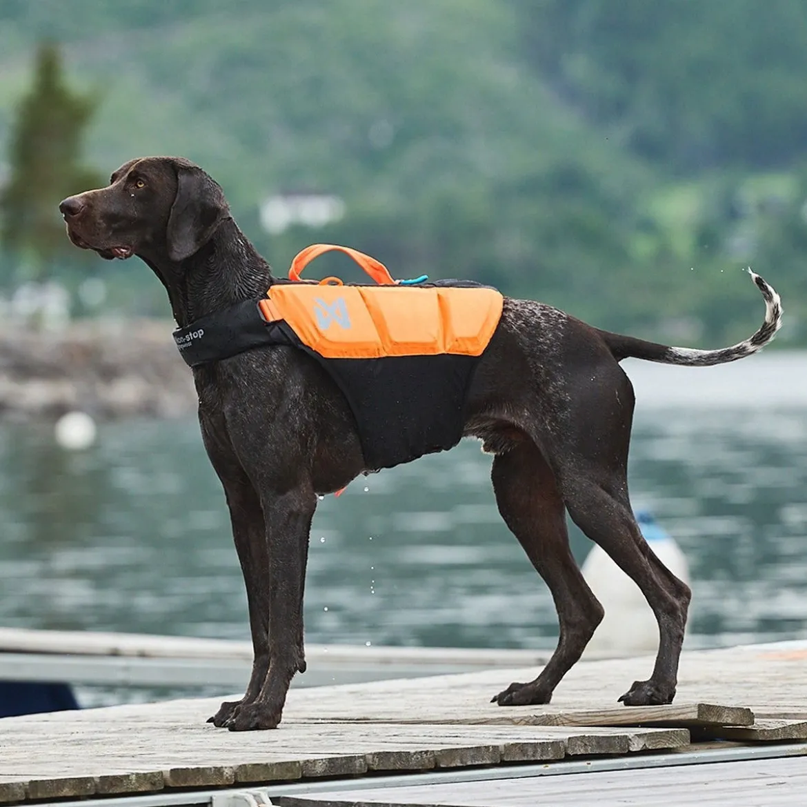 Non-Stop Dogwear Protector Flytväst till hund Orange & Svart
