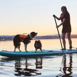Non-Stop Dogwear Protector Flytväst till hund Orange & Svart