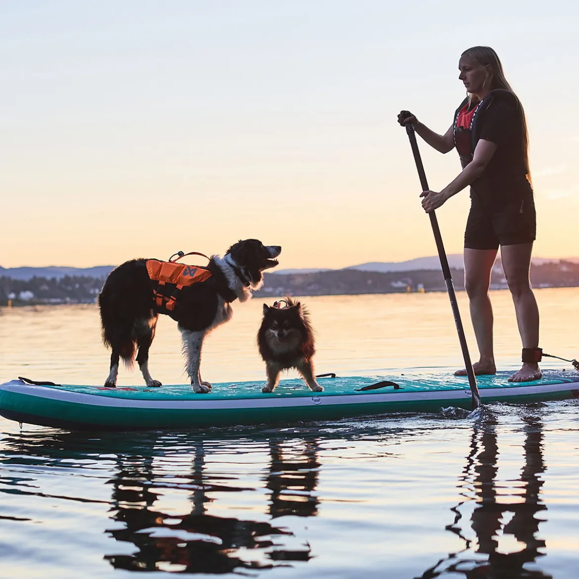 Non-Stop Dogwear Protector Flytväst till hund Orange & Svart