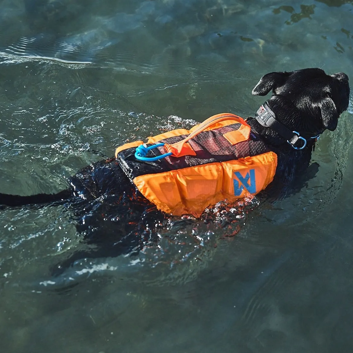 Non-Stop Dogwear Protector Flytväst till hund Orange & Svart