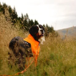 Non-stop Dogwear Protector Hundoverall Tik Svart & Orange