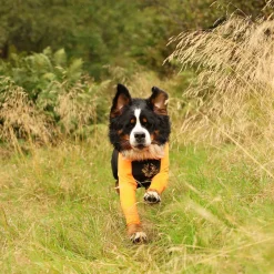 Non-stop Dogwear Protector Hundoverall Tik Svart & Orange